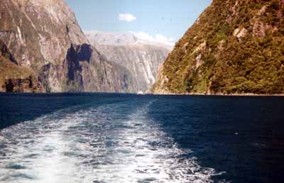 Vanaf een boot door de Milford Sounds (fjord)