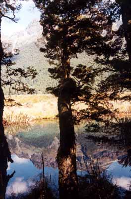 een mirror lake, mooi gespiegeld