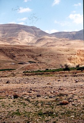 jor_woest.jpg (59319 bytes)
