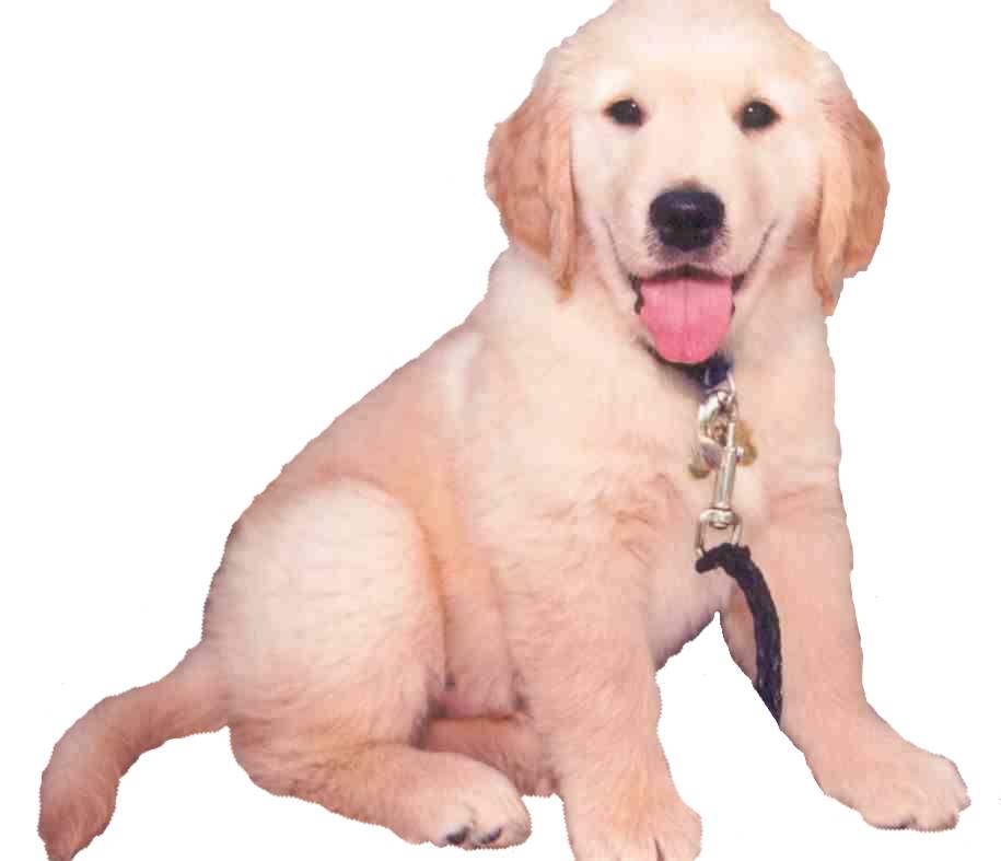click to get to the samson web site