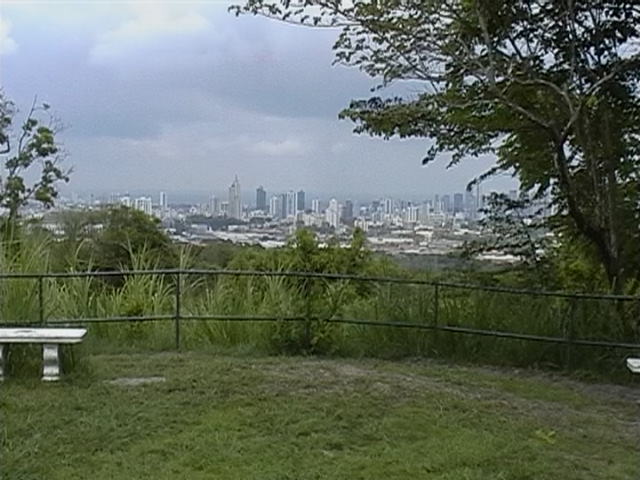 Vanaf het tropische stadspark