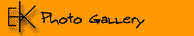 Photo Gallery
