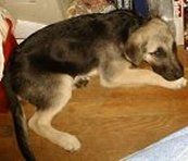 Gren at 14 wks