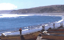 im&aacute;genes de la VI regi&oacute;n
