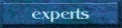 Misc. Experts