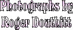 Visit Roger's website!
