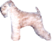 micwagsm2.gif (4857 bytes)