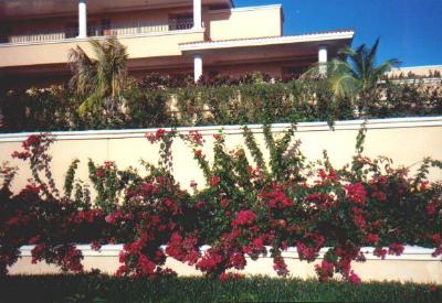 Moon Palace walk