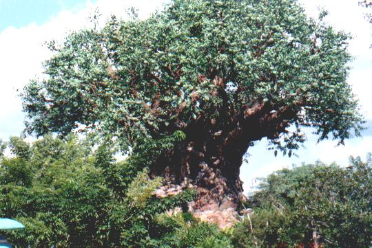 Tree of Life