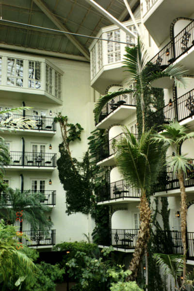 nash0222.jpg
