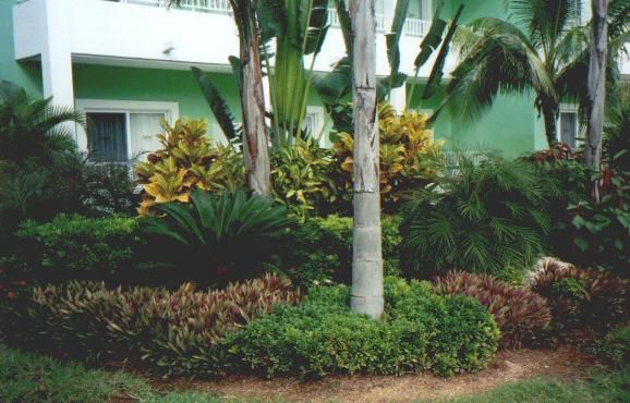 Typical Grounds and Building