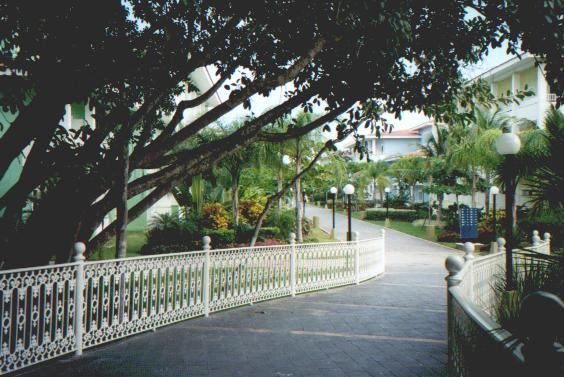 Walkway From Lobby to Buildings, Pool and Beach