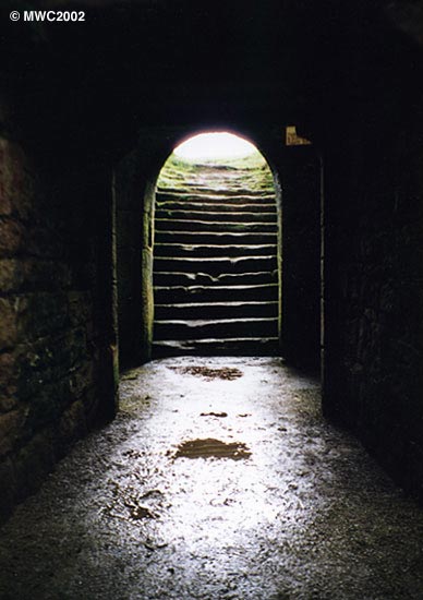 Enter if you dare...