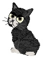 mew.jpg