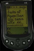 palmare.jpg (11405 byte)