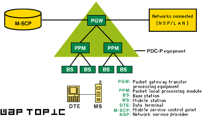 pdc-p-1.gif (15284 byte)