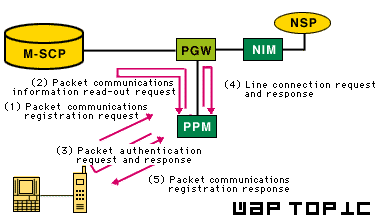 pdc-p-2.gif (6414 byte)