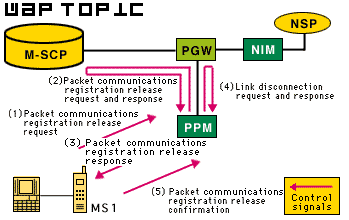 pdc-p-3.gif (8536 byte)