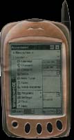 telepalmare2.jpg (11182 byte)