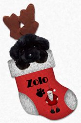 My "Therapy Newf" ...&nbsp; Zolo