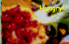 hungry4.gif (3458 bytes)