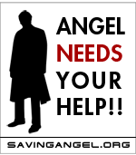 Help save the TV show Angel!