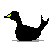 SwanKnight