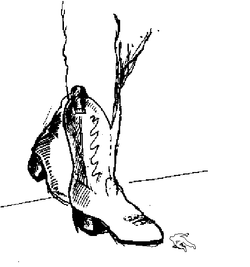 Regina's western boot up close