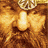 Gimli