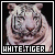 White Tigers