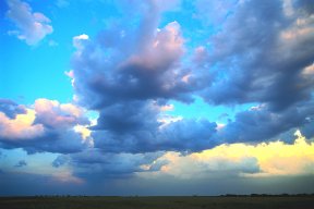 weather