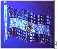 Evita's diamond & sapphire brooch
