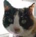 Molly