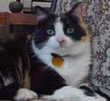 Meow