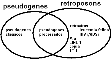 [Fig1]