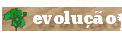 evolu&ccedil;&atilde;o