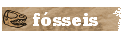 f&oacute;sseis