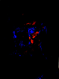 DSCN0297-2