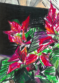 Scan0003