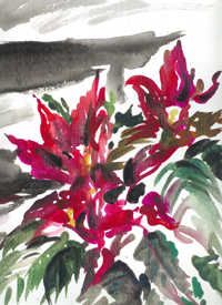 Scan0004