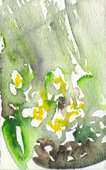Scan00051
