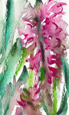 Scan0006-2