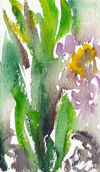 Scan00061