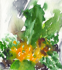 Scan0008