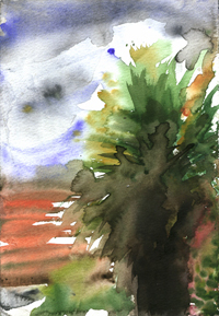 lonelypalm2