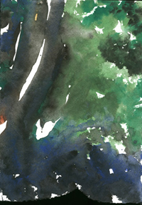 nightskywithtrees2