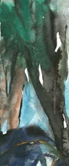 ocaliptusbodies
