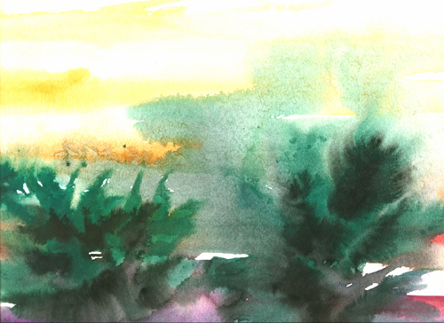 palms