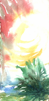sunandpalm