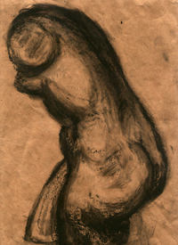 torso
